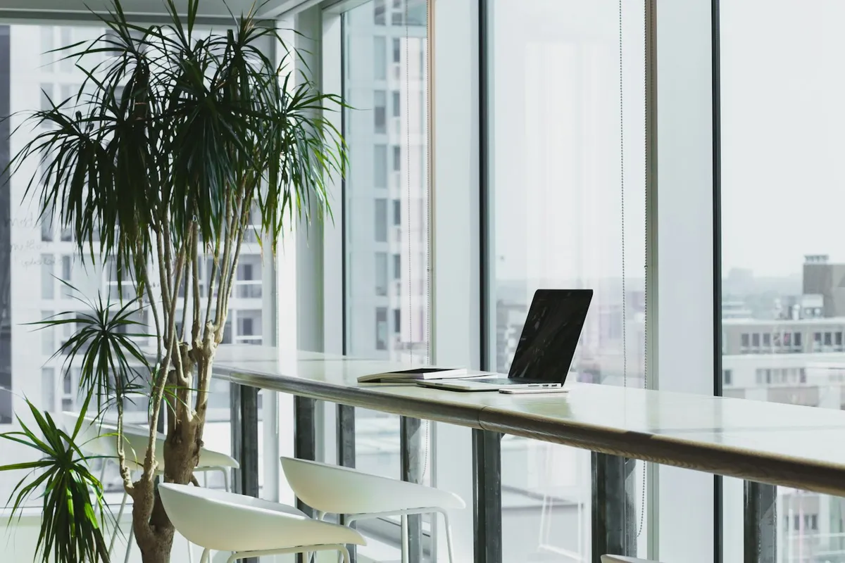 Open commercial office with a long table and soft window light